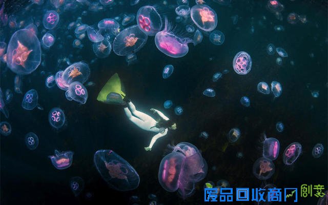 气象万千：年度户外摄影大赛美图赏