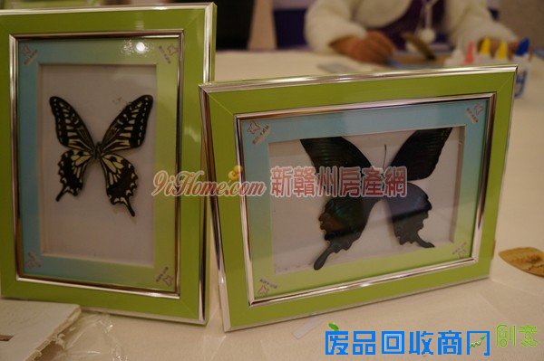 春意盎然相约赣州鹏欣水游城 蝴蝶、风车DIY温暖来袭