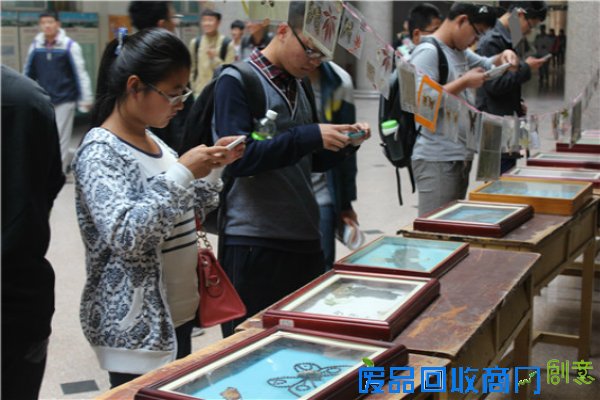 农学与植保举办昆虫标本制作技能大赛作品展