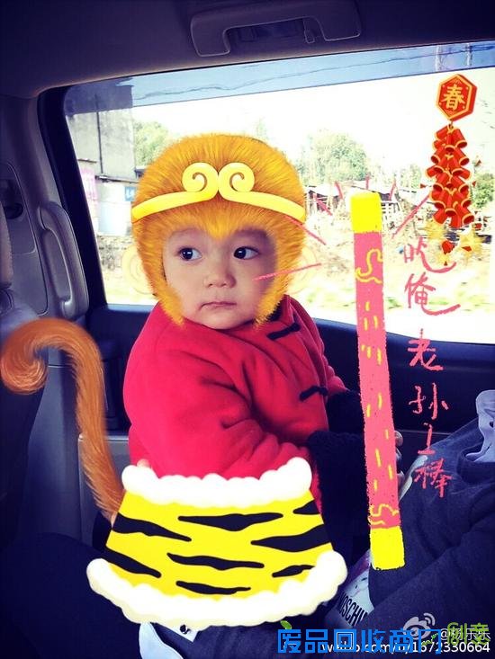 汪涵家的小沐沐