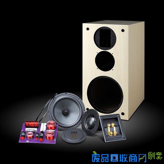 HiVi惠威DIY3.1高保真书架音箱套件 