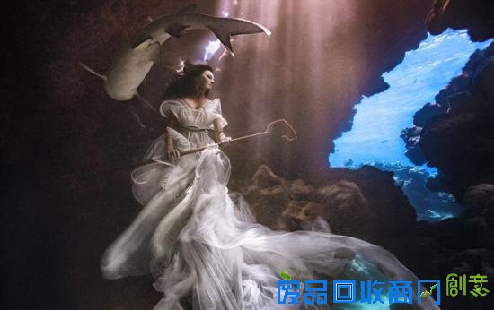 唯美！加拿大摄影师水下拍摄美女与鲨鱼和谐共舞(图)