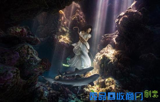 唯美！加拿大摄影师水下拍摄美女与鲨鱼和谐共舞(图)