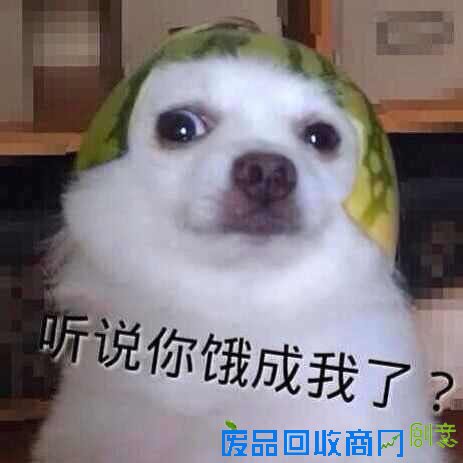 囧人囧事：民以食为天