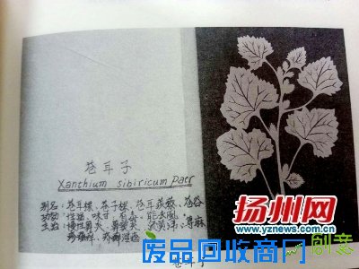 献礼扬州建城2500周年 “扬州剪纸”图册近日完稿