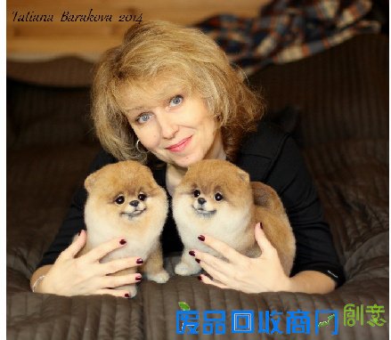 俄罗斯手工大触：用羊毛养出了一整个动物园