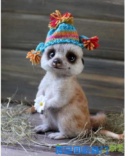 俄罗斯手工大触：用羊毛养出了一整个动物园