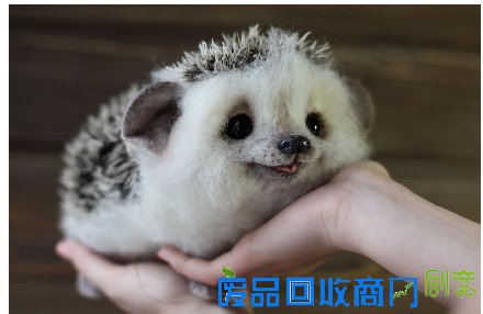 俄罗斯手工大触：用羊毛养出了一整个动物园