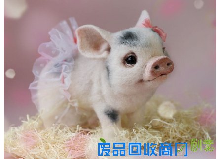 俄罗斯手工大触：用羊毛养出了一整个动物园