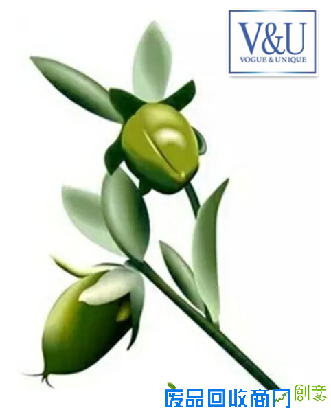 来自遥远国度的VU手工皂给肌肤全面呵护