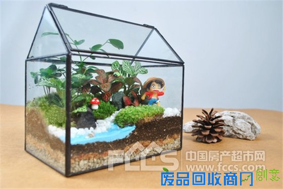 给生活抹上新绿 天河·理想城“微景观DIY”周日邀约