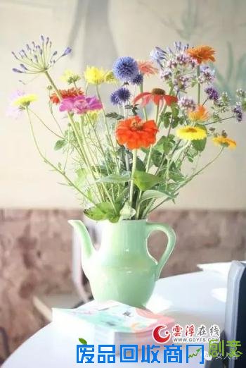 【励志语录】打拼上进,不是为了做给别人看,是为了不辜...