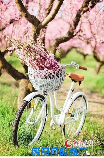 【励志语录】打拼上进,不是为了做给别人看,是为了不辜...