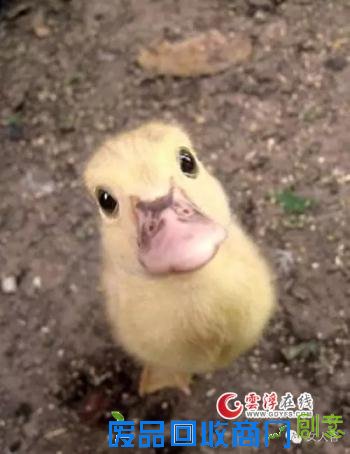 【励志语录】打拼上进,不是为了做给别人看,是为了不辜...