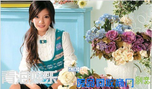 董洁林心如刘亦菲 女星初恋绯闻八卦