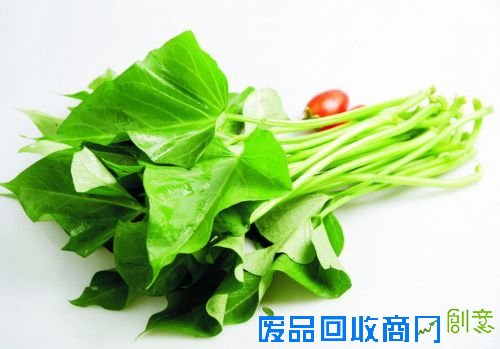 专家公布春节后20款最佳排毒食物（17）