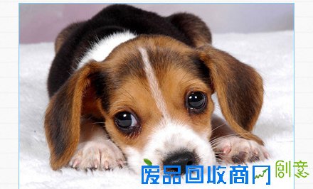 提升幸福感的9个好办法