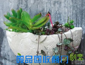 商报记者 何斌 制图 陈骁