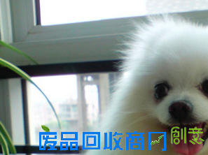 【图】零基础如何看动漫学日语