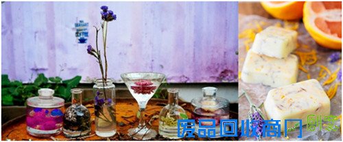 西门子吸油烟机新品上市 手工创意大比拼