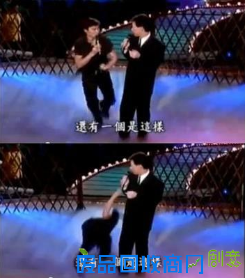 刘德华摔狗吃屎周迅卖唱 明星鲜为人知糗事(图)