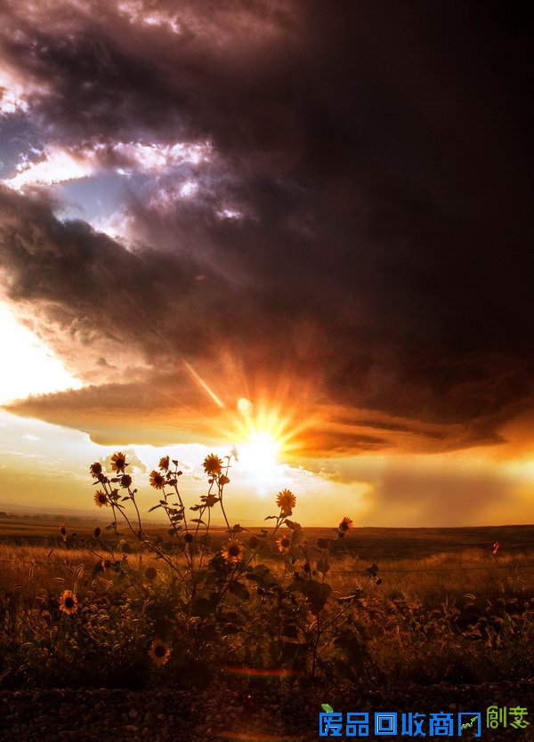 美国女子热衷追逐风暴 面对龙卷风淡定拍照 【9】