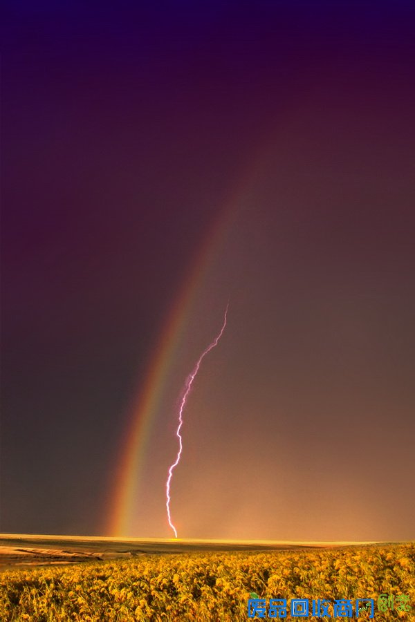 美国女子热衷追逐风暴 面对龙卷风淡定拍照 【3】