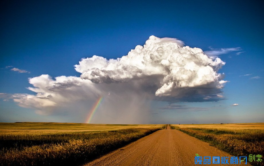 美国女子热衷追逐风暴 面对龙卷风淡定拍照 
