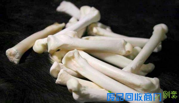  创新3d打印骨头 骨头粉末和生物胶水做原料