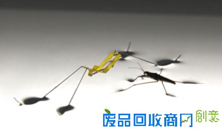  韩国首尔大学研发仿生机械水黾