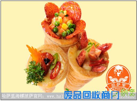 小本创业选什么项目赚?哈萨里披萨无需雇人