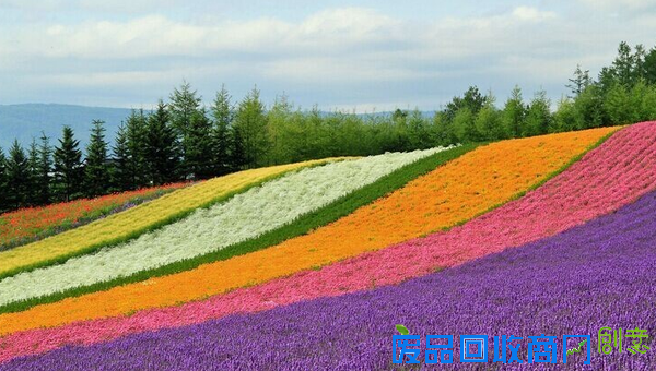 【图】20条励志建议助你2016年做更好的自己