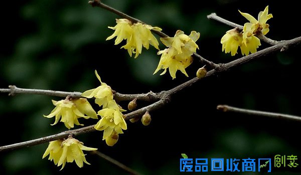 眉山网－眉山新闻网－主流媒体 眉山门户