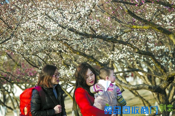 鄂州市：喜气洋洋闹新春