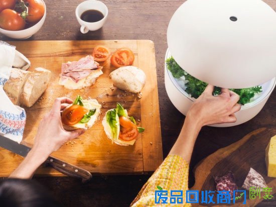 智能花园Plantui 足不出户吃到新鲜蔬菜