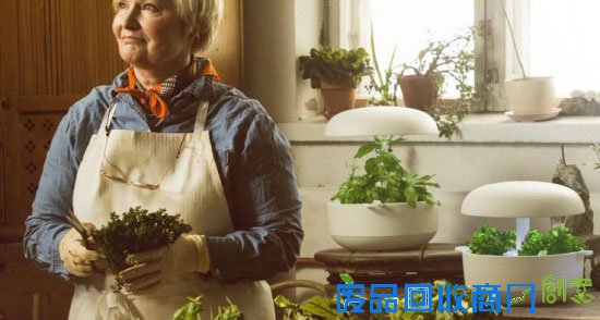 智能花园Plantui 足不出户吃到新鲜蔬菜