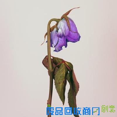 你会比别人老得快吗