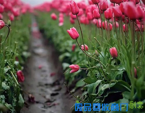 摄影下的甜蜜约会 五款单反相机推荐