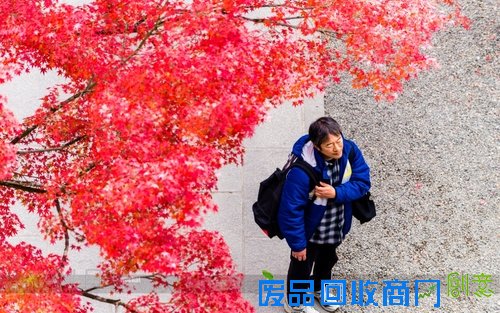 心机表美图儿怎么拍 索尼全画幅微单™A7遇上关东的最美枫景