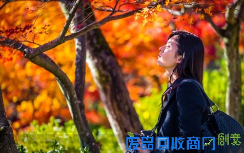 心机表美图儿怎么拍 索尼全画幅微单™A7遇上关东的最美枫景