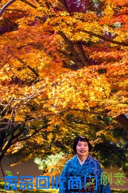 心机表美图儿怎么拍 索尼全画幅微单™A7遇上关东的最美枫景