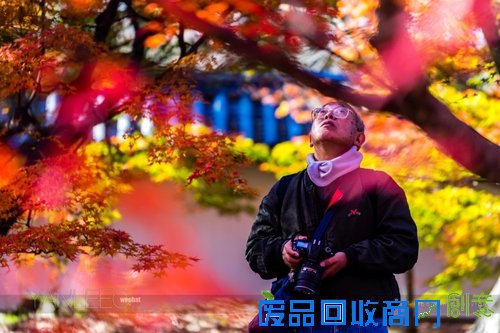 心机表美图儿怎么拍 索尼全画幅微单™A7遇上关东的最美枫景