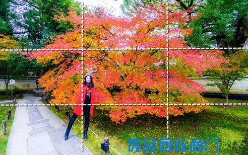 心机表美图儿怎么拍 索尼全画幅微单™A7遇上关东的最美枫景