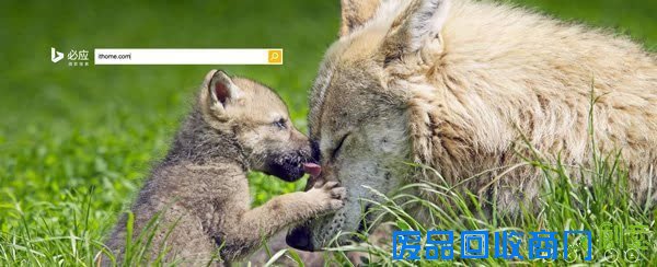 母亲节五大浏览器涂鸦   你更喜欢哪个?