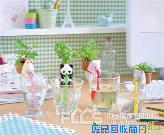 谁说盆栽只能摆着，很多创意的花盆你还不知道