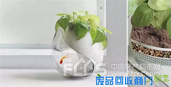 谁说盆栽只能摆着，很多创意的花盆你还不知道