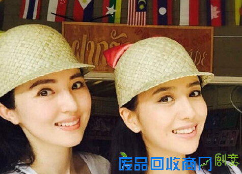 娱乐圈最强撞脸 细节出卖差异