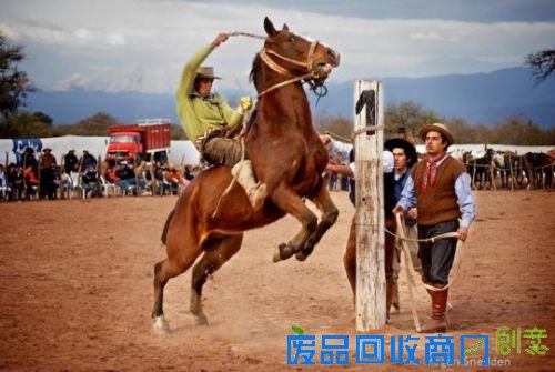 摄影师支招拍照技巧 教你变身旅拍达人