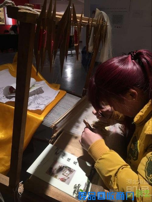 QQ图片20160201132507