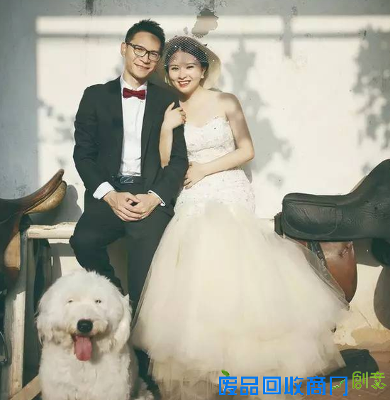 如何拍出最美婚纱照？马元素取景逐渐成为新时尚